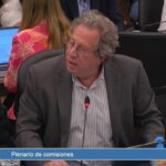 EXPOSICIÓN ANTE EL CONGRESO NACIONAL DEL DELEGADO DE 21 ASOCIACIONES CONTRA EL DNU Y LA LEY OMNIBUS
