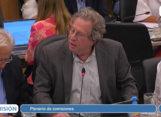 EXPOSICIÓN ANTE EL CONGRESO NACIONAL DEL DELEGADO DE 21 ASOCIACIONES CONTRA EL DNU Y LA LEY OMNIBUS