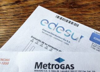 LLAMADO A AUDIENCIA PUBLICA PARA AUMENTO DE LUZ PAR LAS DISTRIBUIDORAS EDESUR Y EDENOR