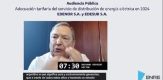 PRESENTACION AUDIENCIA PÚBLICA DISTRIBUCION DE ENERGIA ELECTRICA EMPRESAS EDESUR Y EDENOR – PIDE SU NULIDAD