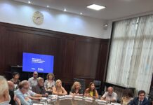 REUNION DEL CONSEJO CONSULTIVO DE LOS CONSUMIDORES 6/2/2024