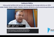 AUDIENCIA PUBLICA DE TRANSPORTE DE ENERGIA ELECTRICA DEL 29-1-2024