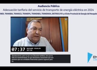 AUDIENCIA PUBLICA DE TRANSPORTE DE ENERGIA ELECTRICA DEL 29-1-2024