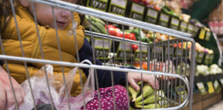 Relevamientos de precios de la canasta – Abril 2024