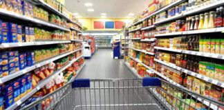 Relevamientos de precios – Noviembre 2024