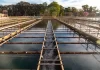 REUNION EN EL CALZ CON COLEGAS ASOCIACIONES BARRIALES Y ASOCIACIONES DE CONSUMIDORES SOBRE EL ÁGUA Y LOS SISTEMAS CLOACALES